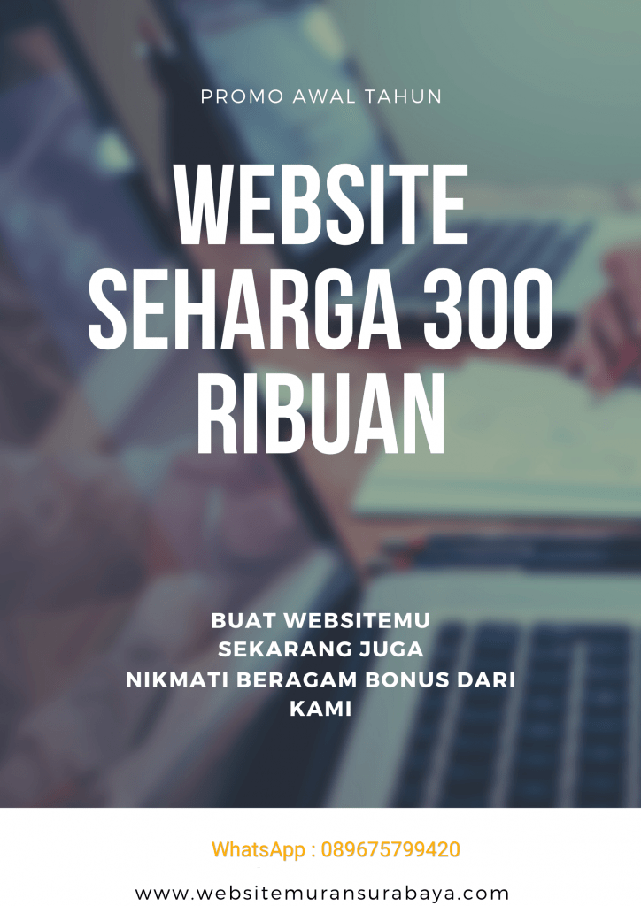 harga website